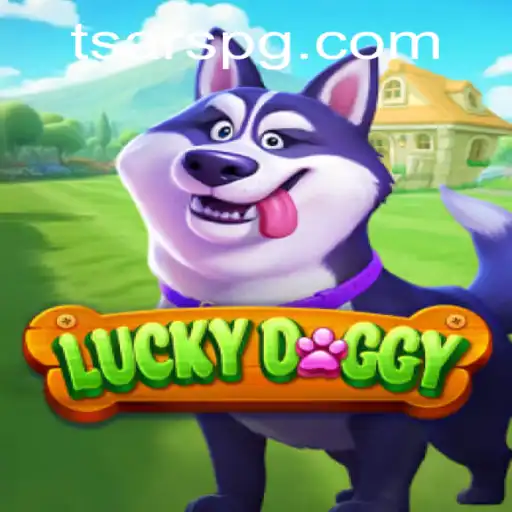 Discover 
